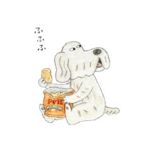 日隈みさき