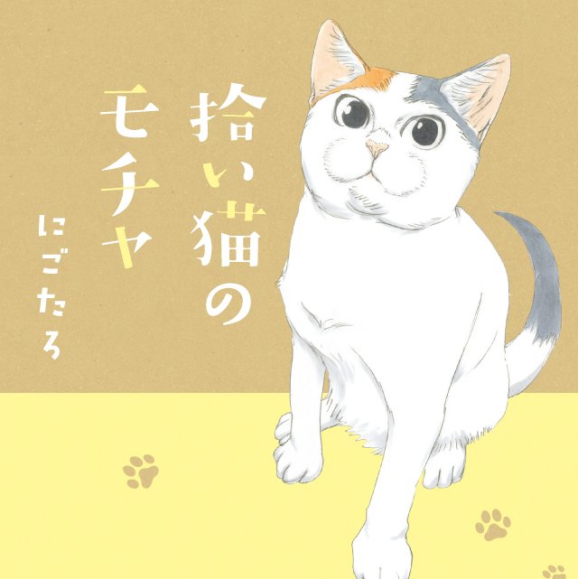 拾い猫のモチャ