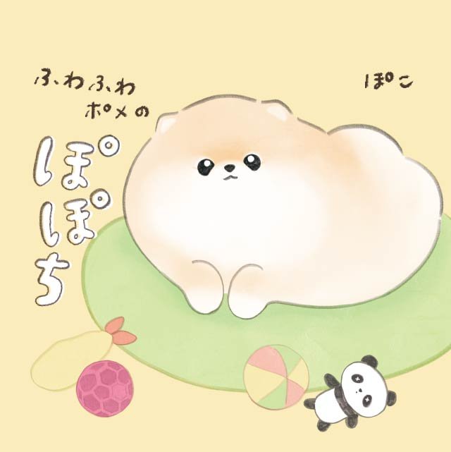 ふわふわポメのぽぽち