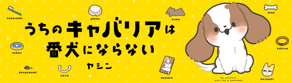 うちのキャバリアは番犬にならない