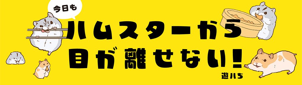 今日もハムスターから目が離せない！