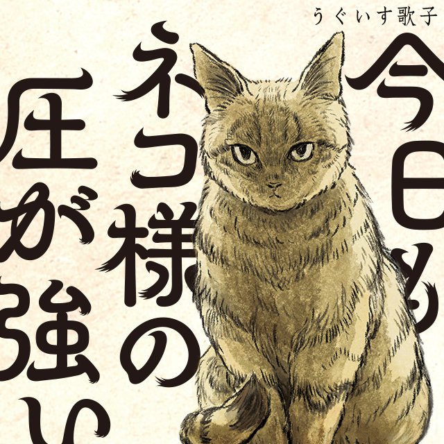 今日もネコ様の圧が強い