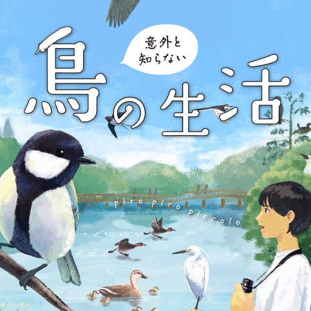 意外と知らない鳥の生活