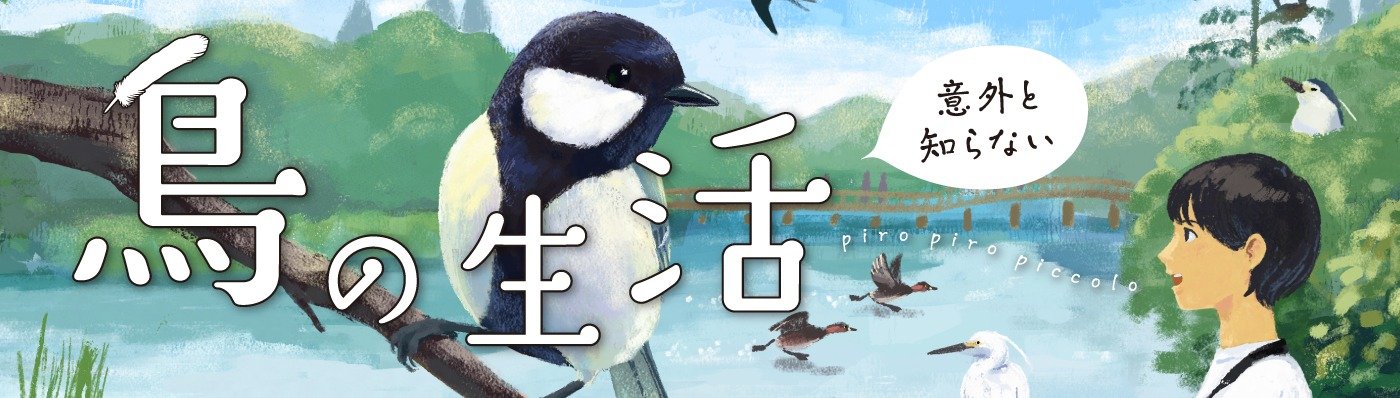 意外と知らない鳥の生活