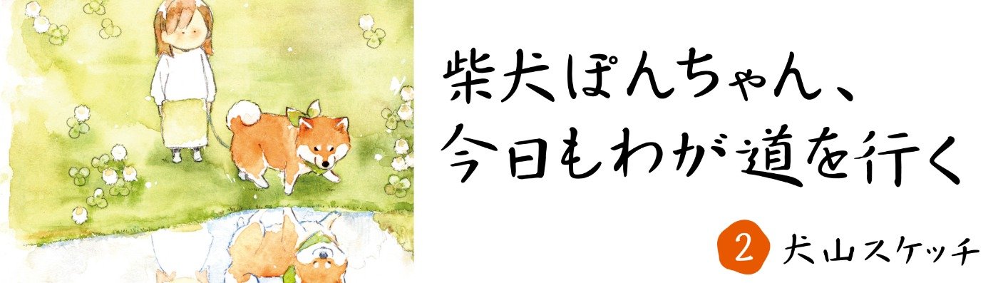柴犬ぽんちゃん、今日もわが道を行く２