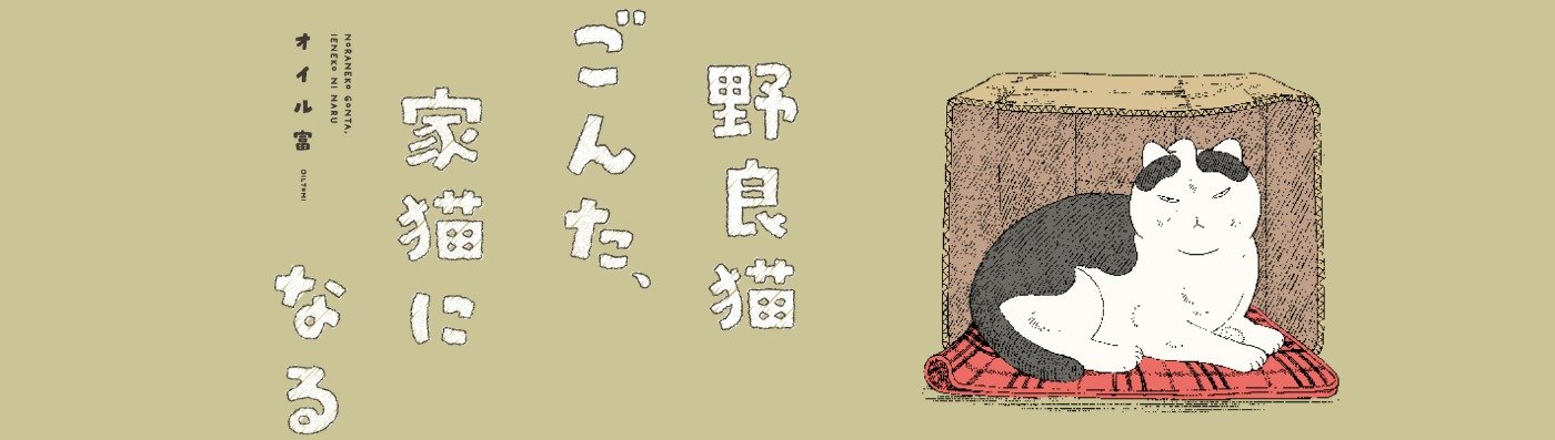 野良猫ごんた、家猫になる