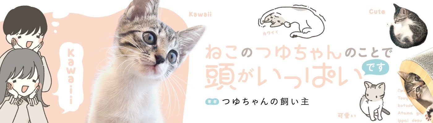 ねこのつゆちゃんのことで頭がいっぱいです