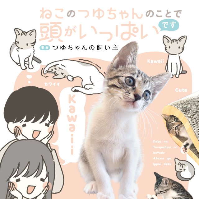 ねこのつゆちゃんのことで頭がいっぱいです