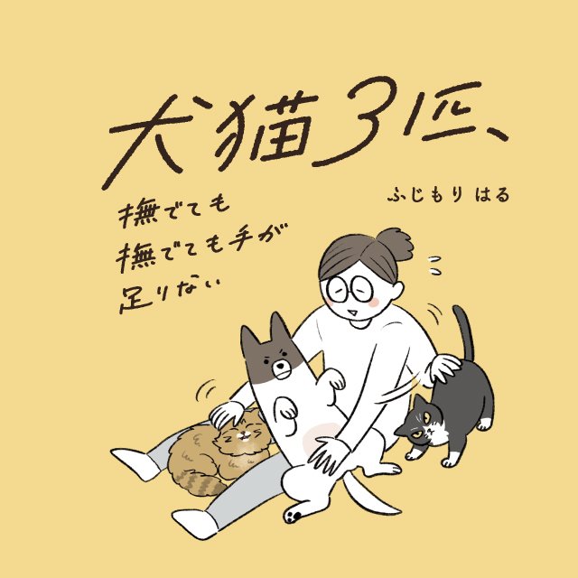 犬猫３匹、撫でても撫でても手が足りない