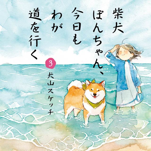 柴犬ぽんちゃん、今日もわが道を行く3