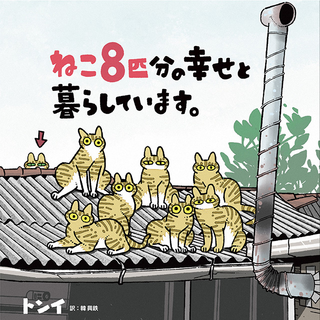 ねこ８匹分の幸せと暮らしています。