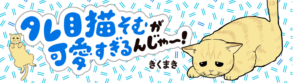 タレ目猫そむが可愛すぎるんじゃ~!