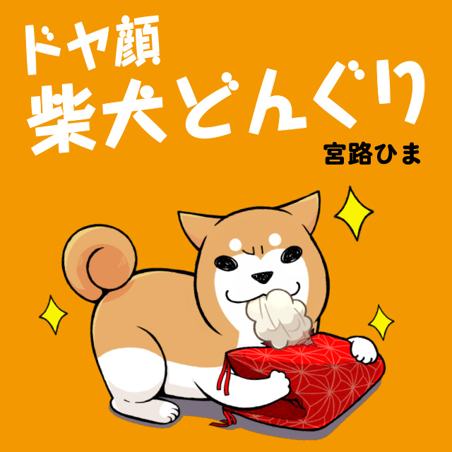 ドヤ顔柴犬どんぐり