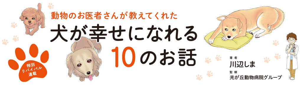 動物のお医者さんが教えてくれた犬が幸せになれる10のお話