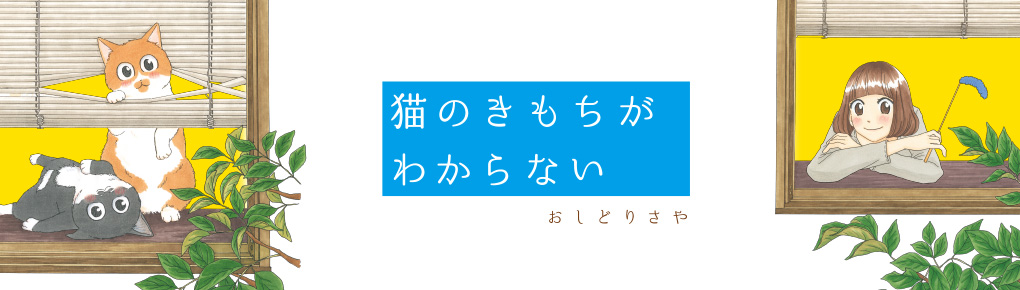 猫のきもちがわからない