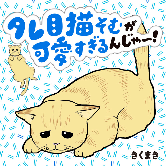 タレ目猫そむが可愛すぎるんじゃ~!