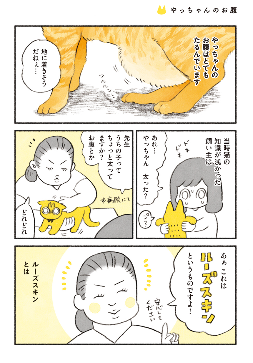 第５回 やっちゃんのお腹 | 茶トラのやっちゃん | 漫画掲載ページ ...