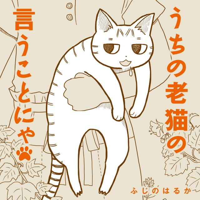 うちの老猫の言うことにゃ