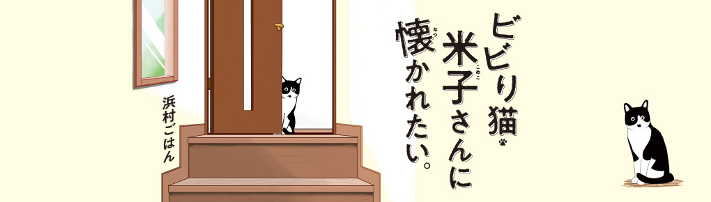 ビビり猫・米子さんに懐かれたい。