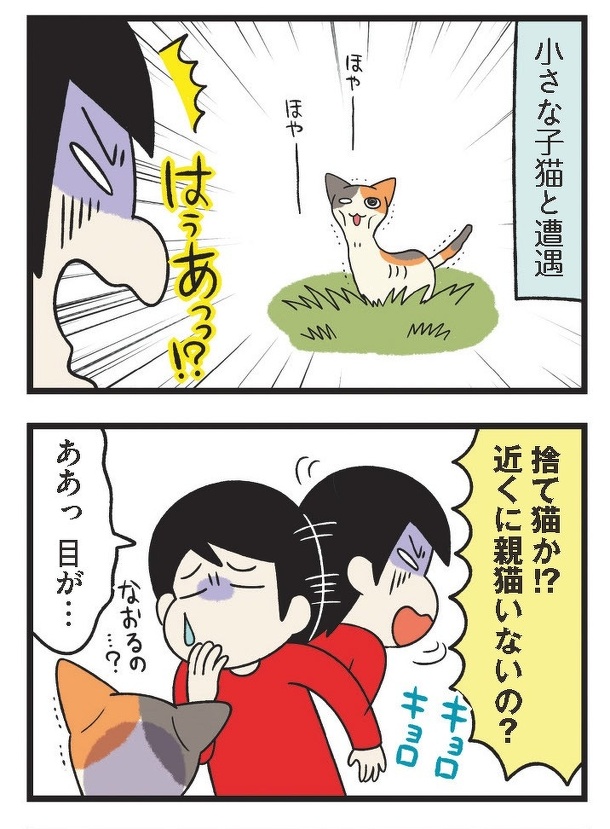 8月8日は世界猫の日 コミックエッセイ劇場には元保護猫の漫画がいっぱい お知らせ ニュース コミックエッセイ劇場