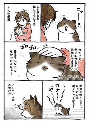 犬猫コミックエッセイまとめ売り 第5回猫コミック新人賞開催のお知らせ | 重要なお知らせ