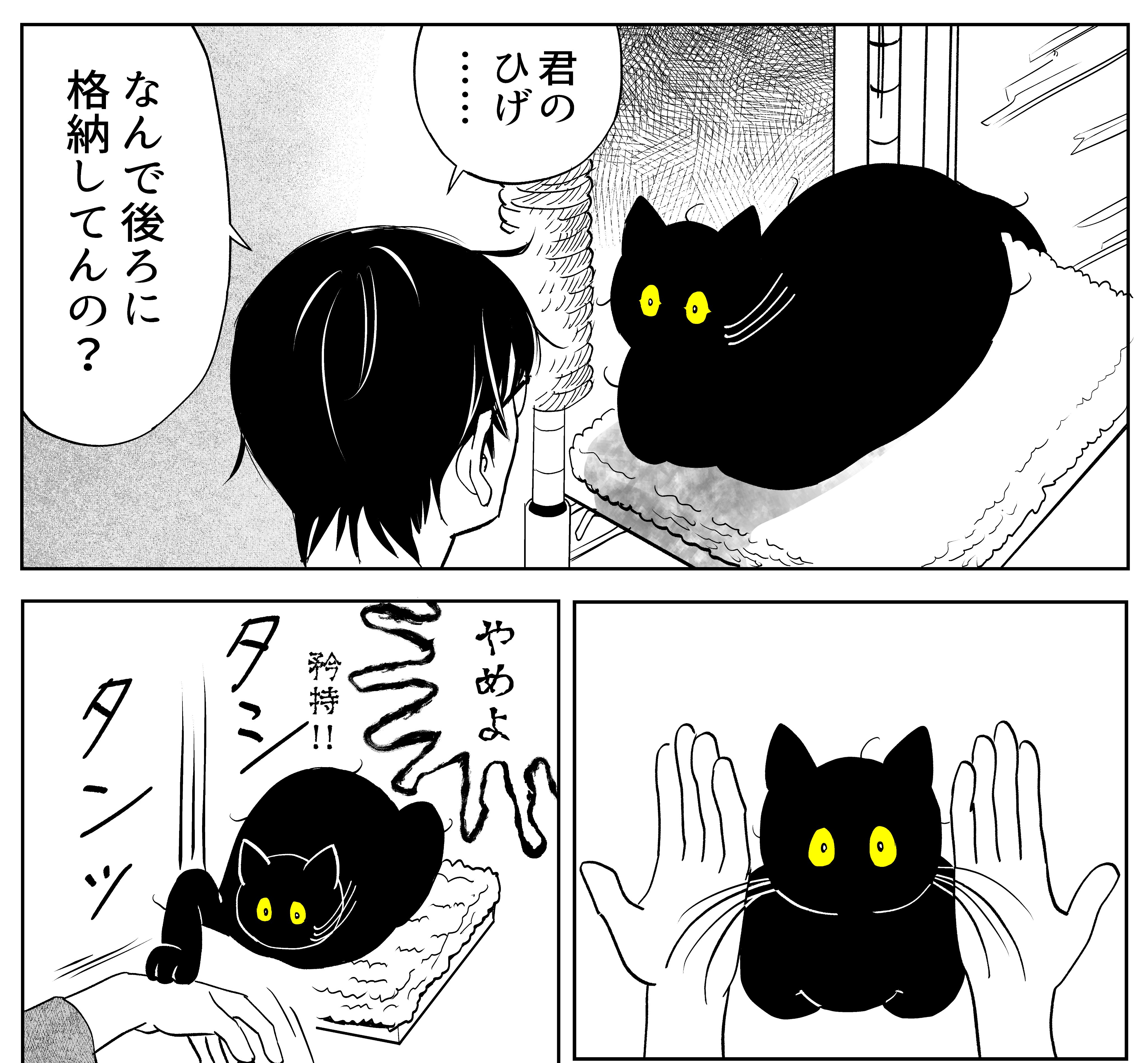 第5回猫コミック新人賞開催のお知らせ | 重要なお知らせ