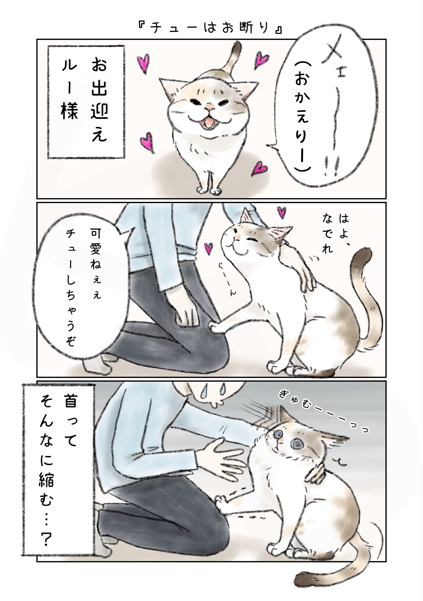 ねこ実績 メッセージ 第6回 猫コミック新人賞 結果発表 | 重要なお知らせ | ニュース