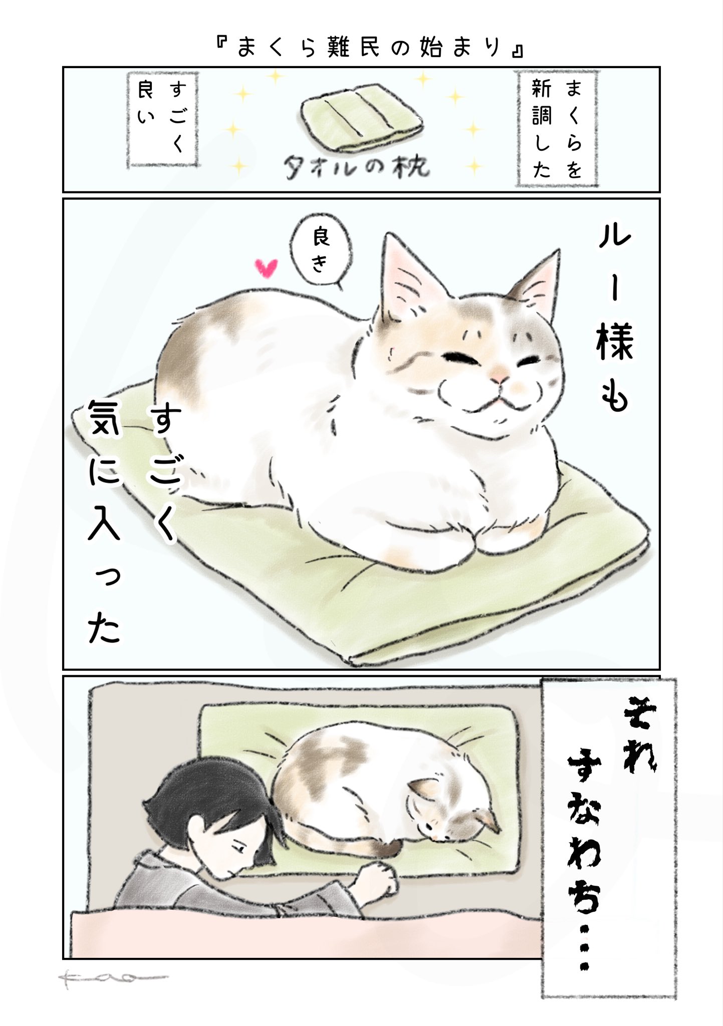 第6回 猫コミック新人賞 結果発表 | 重要なお知らせ | ニュース