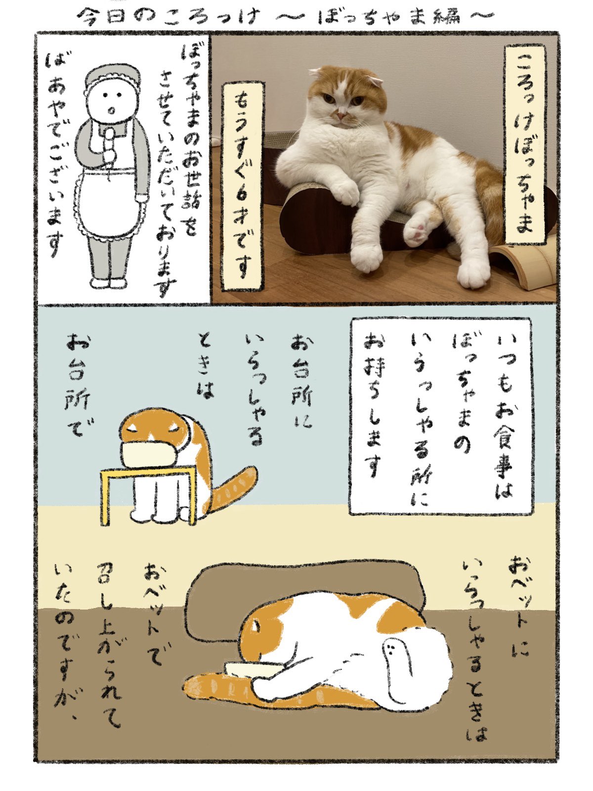 第7回猫コミック新人賞開催のお知らせ | 重要なお知らせ | ニュース