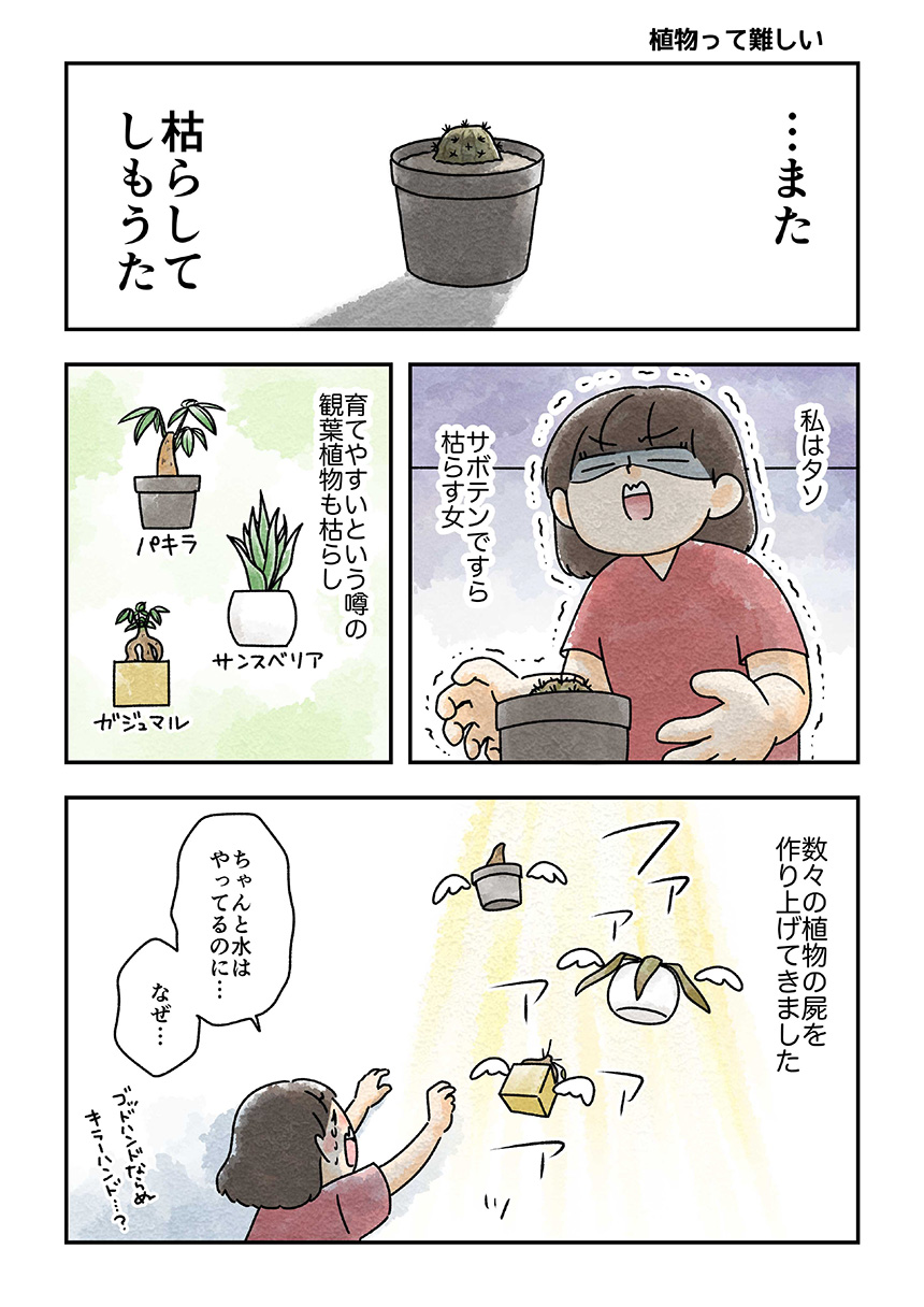 タソ